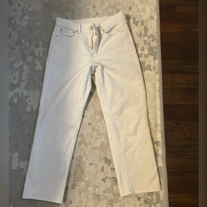 AYR the Frenchie in Tahitian vanilla size 29
